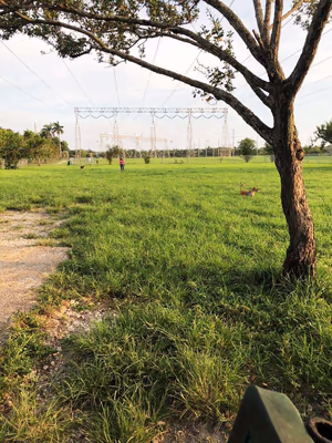 Dog Park at Oakridge Park photo 2